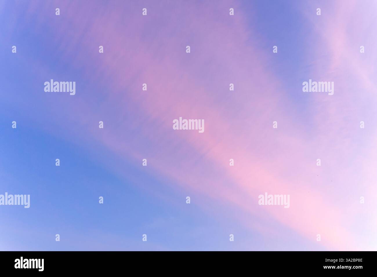 I tenui colori rosa e blu si fondono nel cielo serale durante il tramonto. L'atmosfera tranquilla invita al relax e alla contemplazione della bellezza della natura. Foto Stock