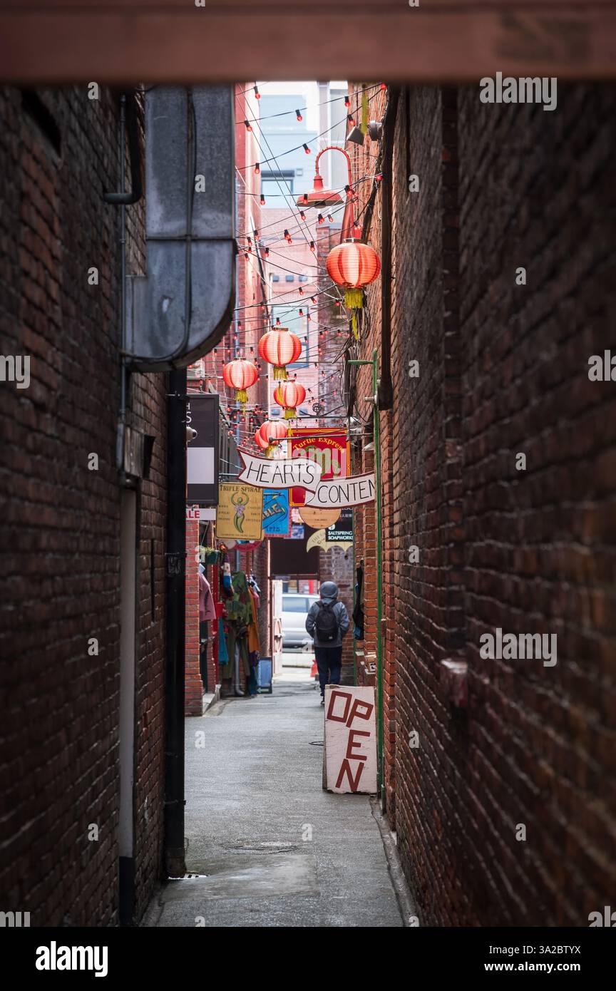 Il quartiere di Chinatown e fan Tan Alley nel centro di Victoria. Foto Stock
