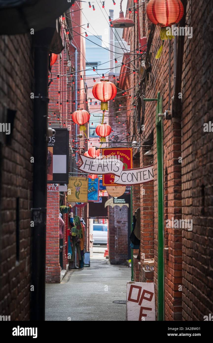 Il quartiere di Chinatown e fan Tan Alley nel centro di Victoria. Foto Stock