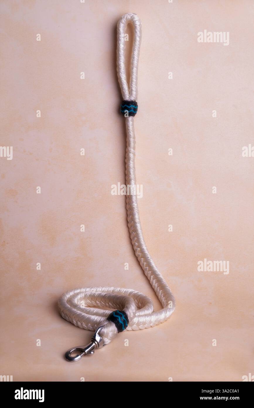 Guinzaglio per cani resistente con chiusura robusta e comoda impugnatura: Perfetto per passeggiate, allenamenti e avventure. Ideale per la cura degli animali domestici, l'e-commerce e il marketing. Foto Stock