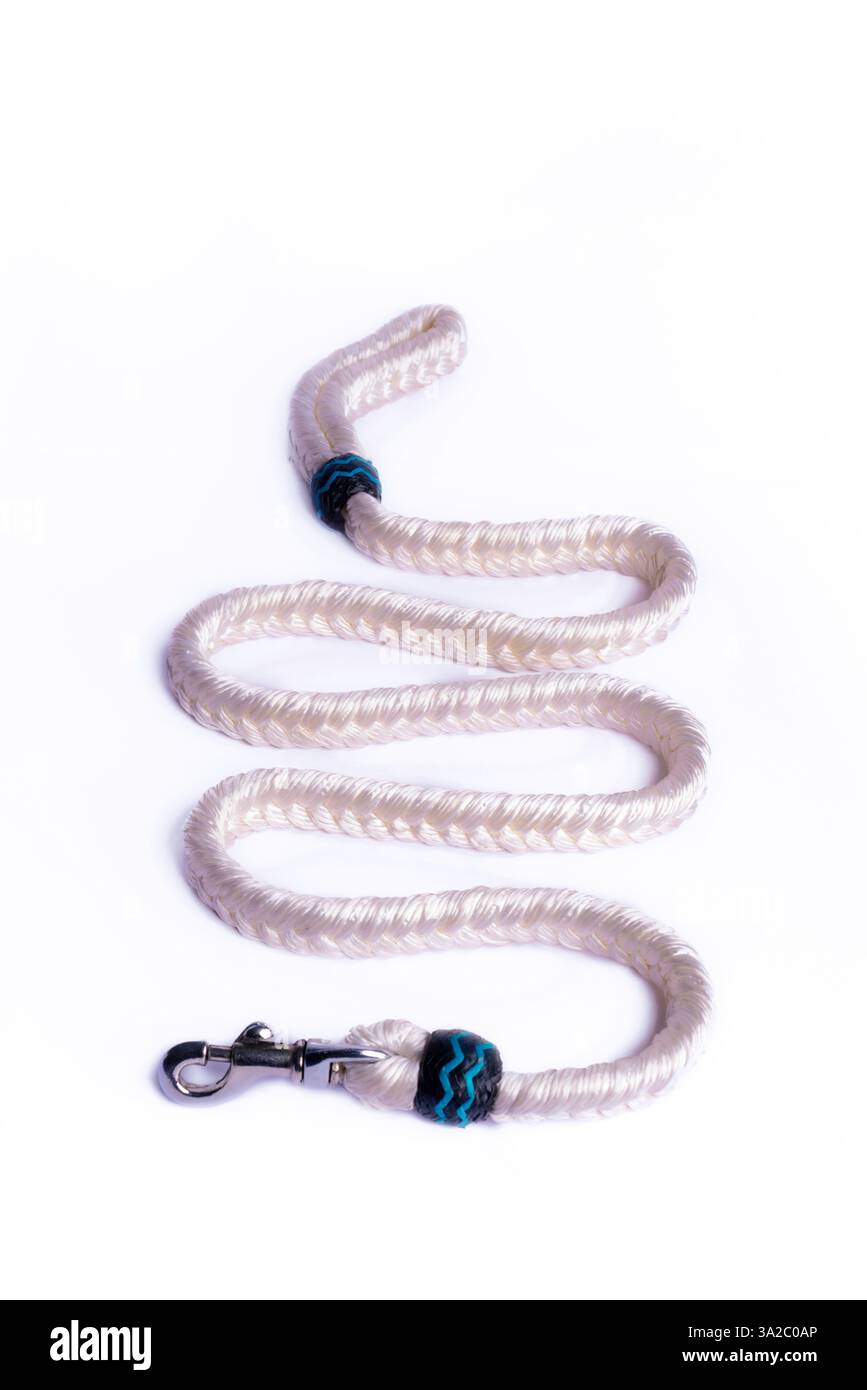 Guinzaglio per cani resistente con chiusura robusta e comoda impugnatura: Perfetto per passeggiate, allenamenti e avventure. Ideale per la cura degli animali domestici, l'e-commerce e il marketing. Foto Stock