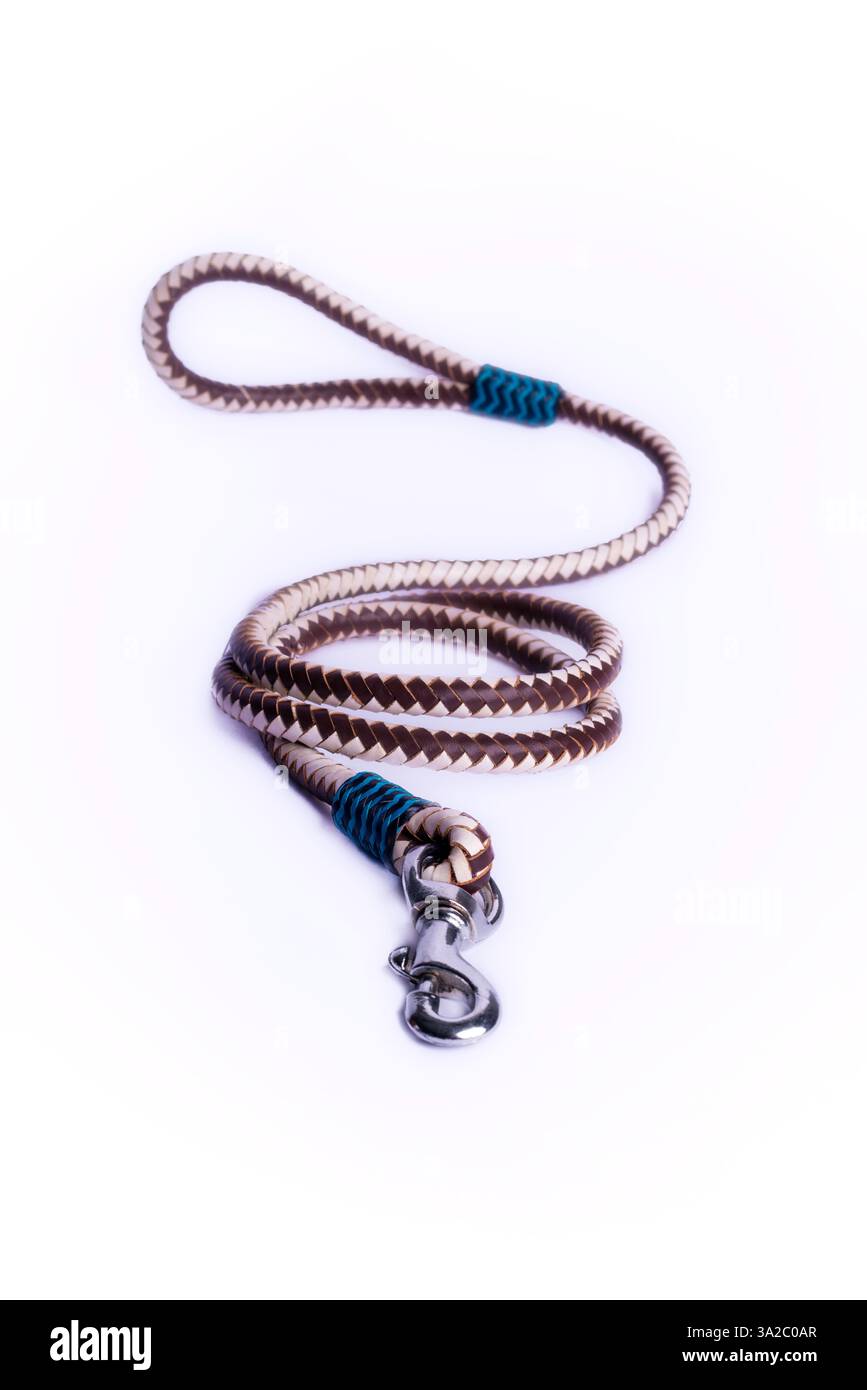 Guinzaglio per cani resistente con chiusura robusta e comoda impugnatura: Perfetto per passeggiate, allenamenti e avventure. Ideale per la cura degli animali domestici, l'e-commerce e il marketing. Foto Stock