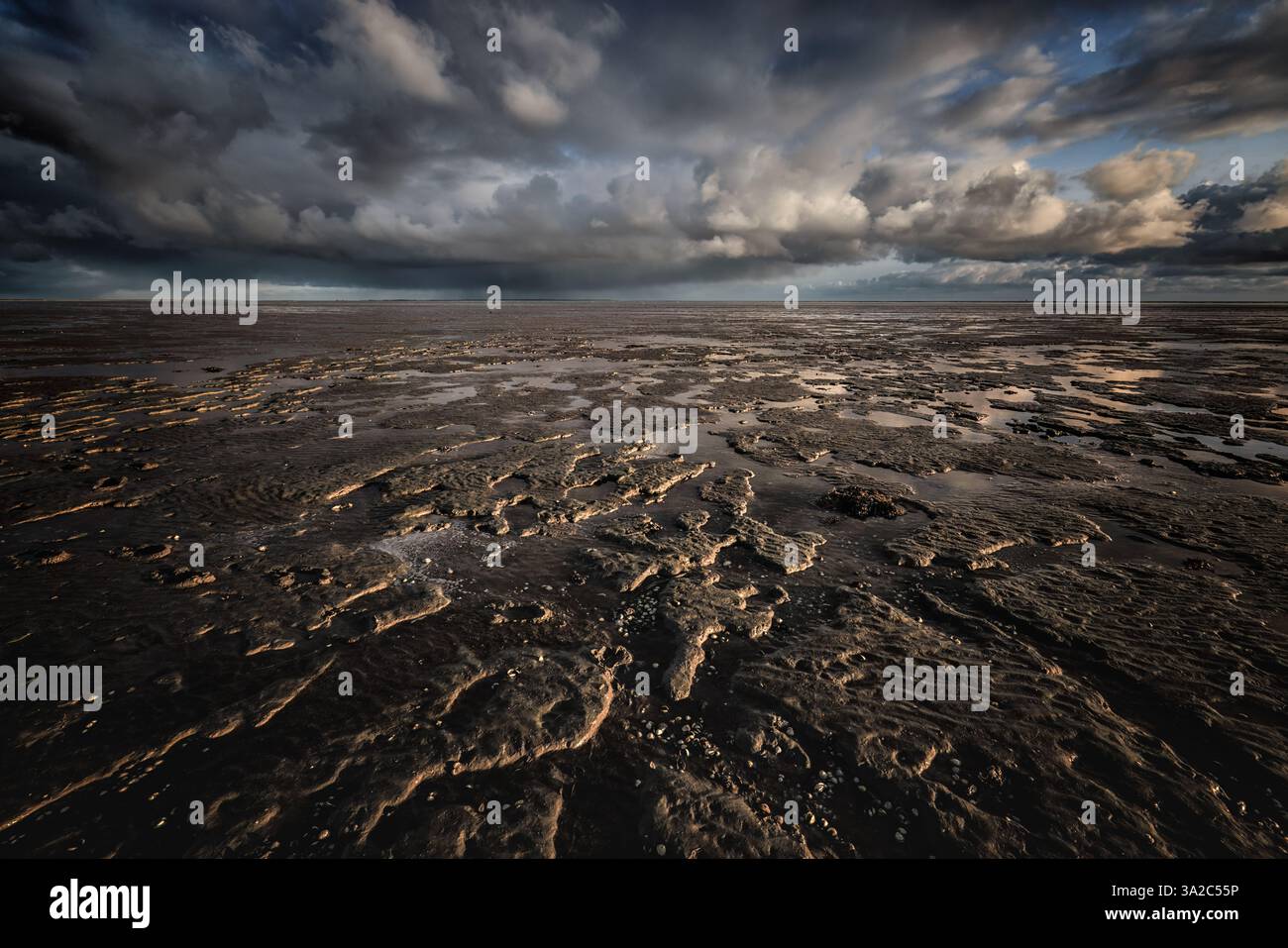 Un'immagine marina del Waddenzee con nuvole di tempesta nel cielo e strutture delle distese fangose in primo piano. Foto Stock