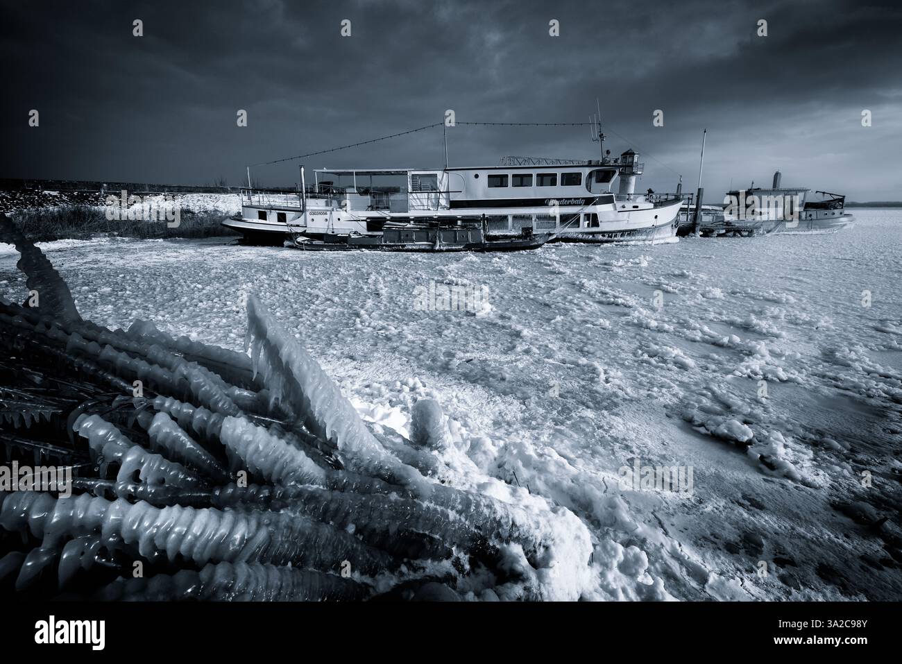 Strutture di ghiaccio in un paesaggio invernale nel parco nazionale Lauwersmeer a Groningen in bianco e nero Foto Stock
