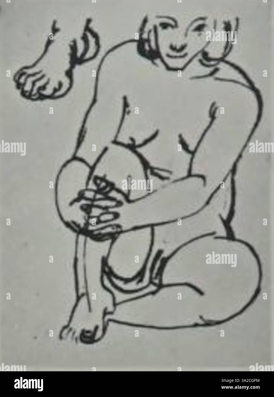 Il D05 di Matisse combina forme organiche con una ricca tavolozza di colori, creando un'esperienza visiva armoniosa ma dinamica. Foto Stock