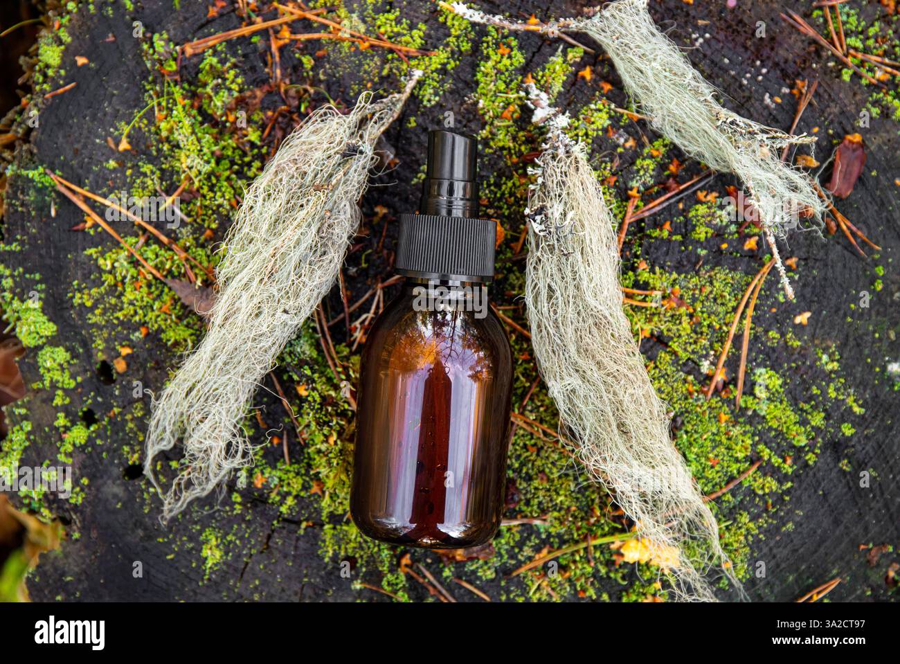 Concetto di usnea barbata o barba di vecchio o tintura di lichene. Bottiglia marrone con miscela di erbe medicinali su muschio verde all'aperto in natura. Foto Stock