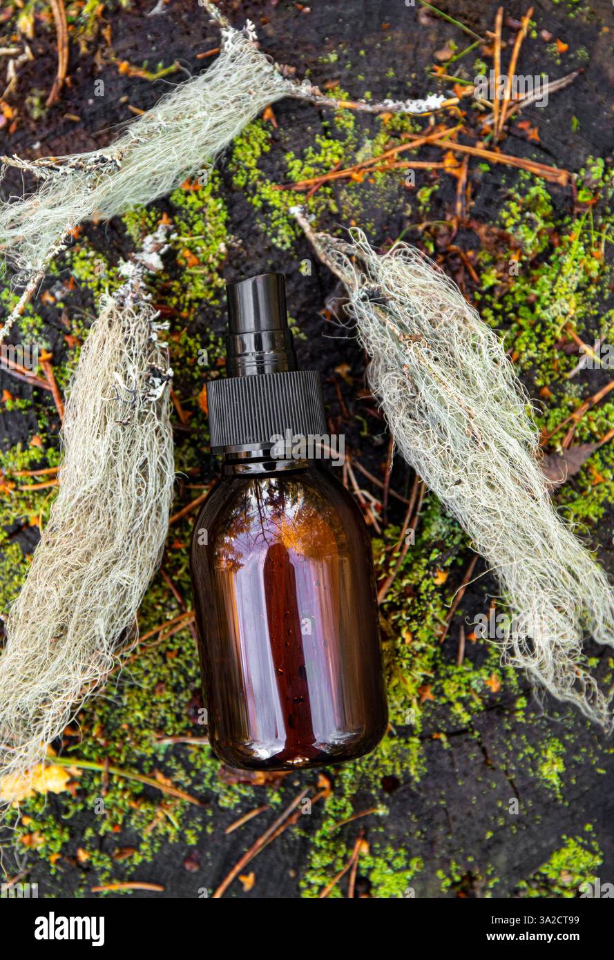 Concetto di usnea barbata o barba di vecchio o tintura di lichene. Bottiglia marrone con miscela di erbe medicinali su muschio verde all'aperto in natura. Foto Stock