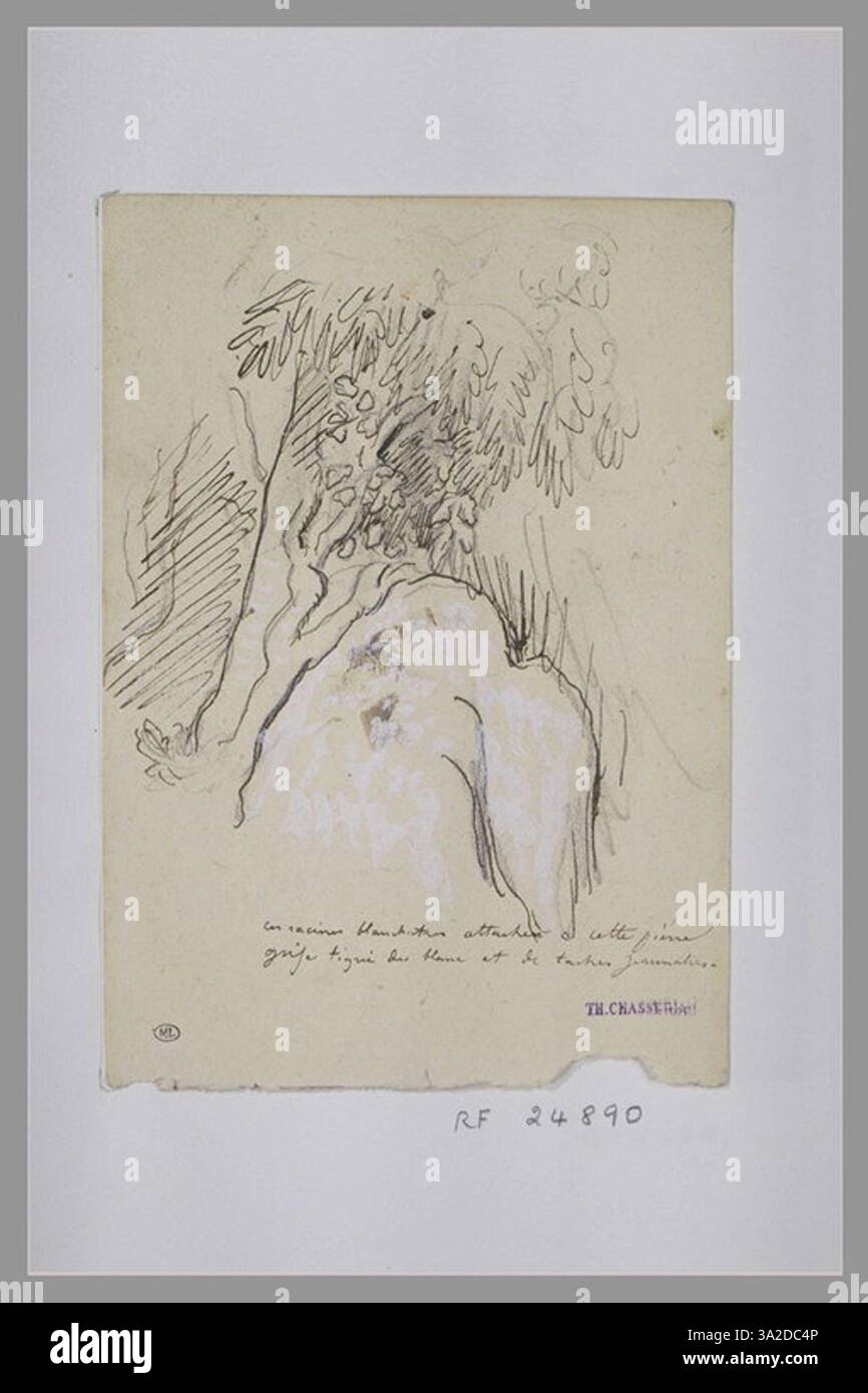 Questo disegno di Chassériau raffigura un albero vicino a una roccia, evidenziando il contrasto tra gli elementi naturali. L'attenzione è rivolta alle forme organiche e alle consistenze dell'albero e del paesaggio circostante. Foto Stock