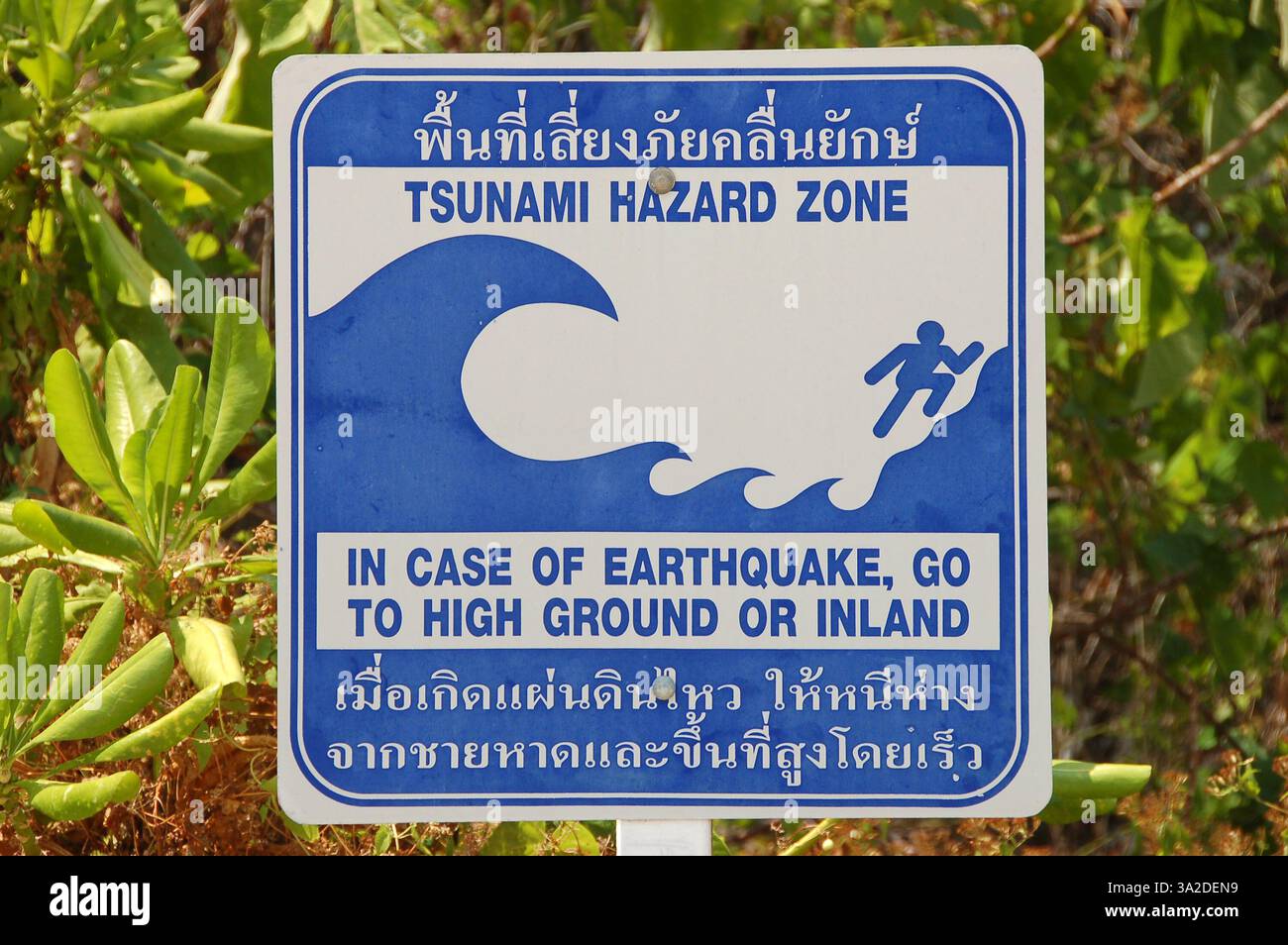 Cartello blu e bianco con la scritta "zona di pericolo dello tsunami" in inglese e tailandese, avvertimento di rischio di tsunami nella zona costiera mostra il percorso di evacuazione Foto Stock