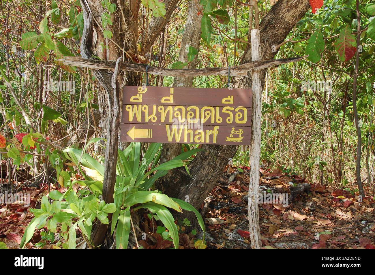 Insegna di legno con scritta thailandese e punti 'Wharf' a sinistra, circondata da alberi tropicali e foglie cadute sull'Isola di Hong, Thailandia Foto Stock