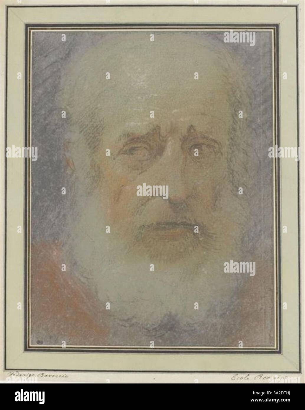 Questa imitazione di Barocci presenta la testa di un uomo anziano in una vista frontale. Lo studio si concentra sull'acquisizione delle caratteristiche e delle espressioni distintive dell'età. Foto Stock