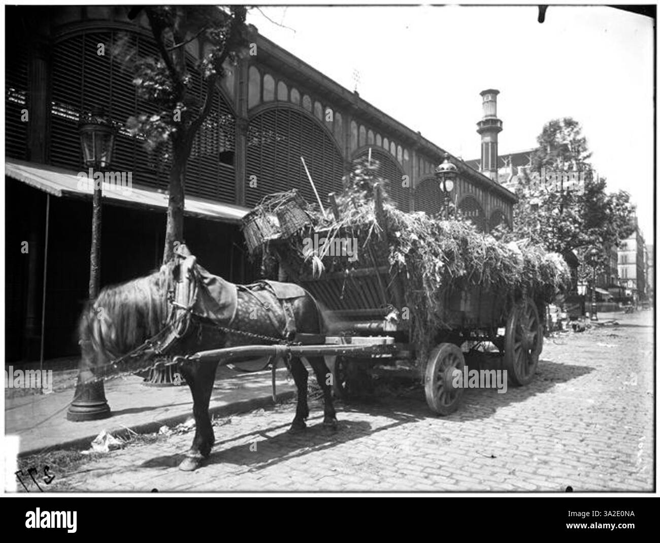 Questa fotografia del 1910 mostra una vista generale delle Halles de Baltard, un famoso mercato di Parigi, noto per la sua architettura in ferro e la posizione centrale della città. Foto Stock