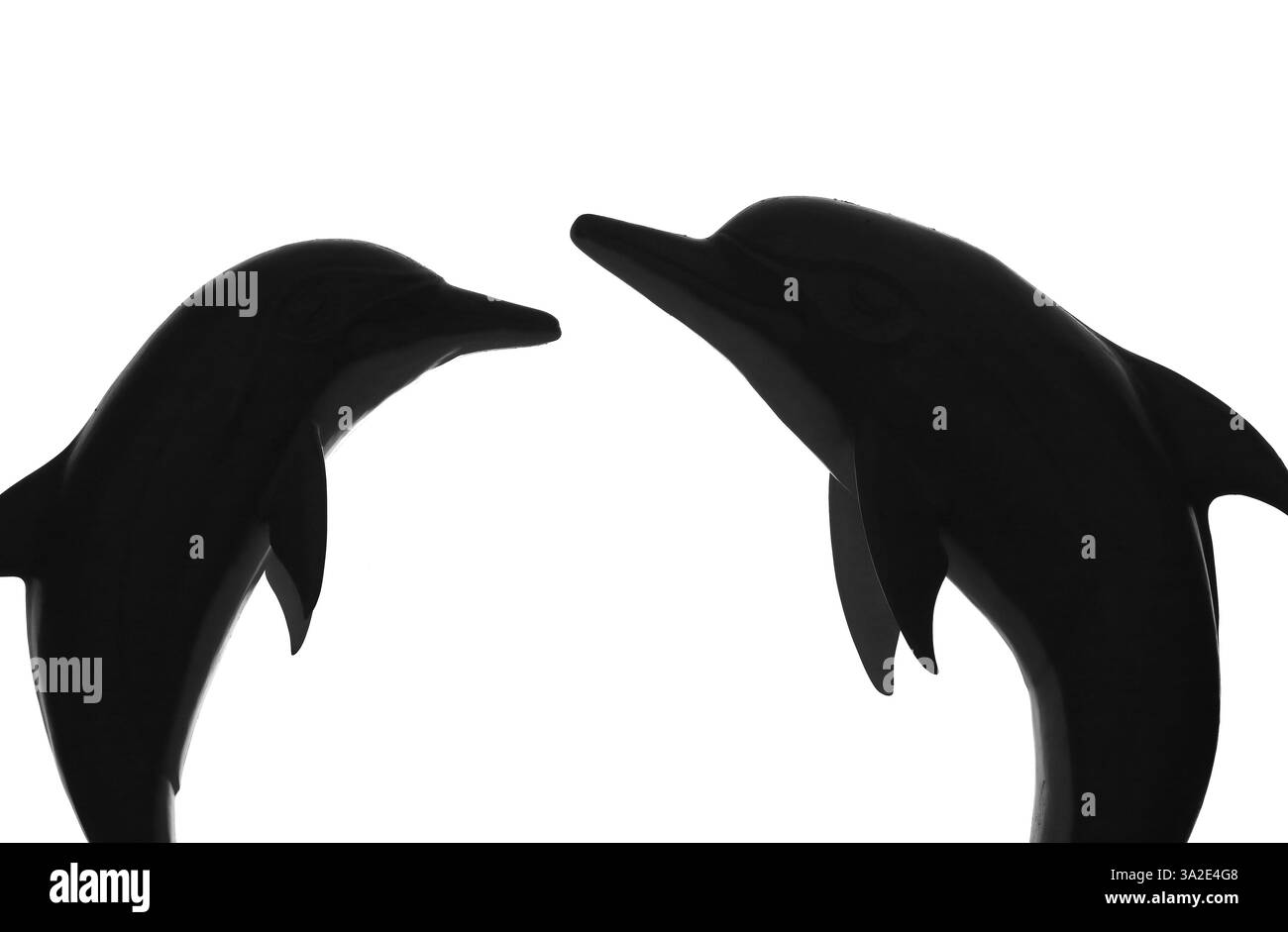 Foto in bianco e nero del delfino. Foto in bianco e nero di un delfino che salta Foto Stock