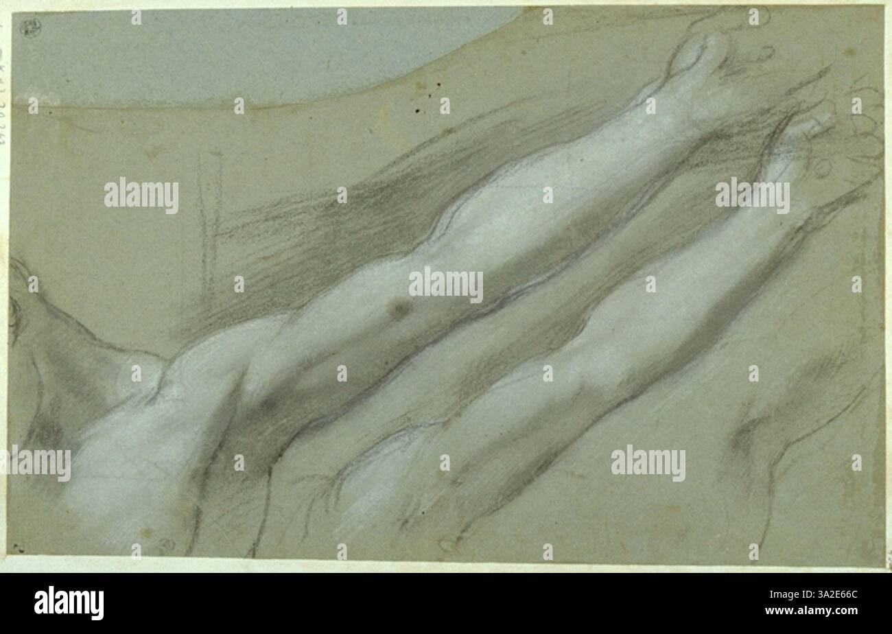 Questo studio di Federico Barocci raffigura il braccio sinistro del Cristo crocifisso, destinato alla Crocifissione nella Galleria Nazionale delle Marche di Urbino. Lo schizzo mostra la meticolosa attenzione di Barocci alla precisione anatomica e alla forma espressiva. Foto Stock