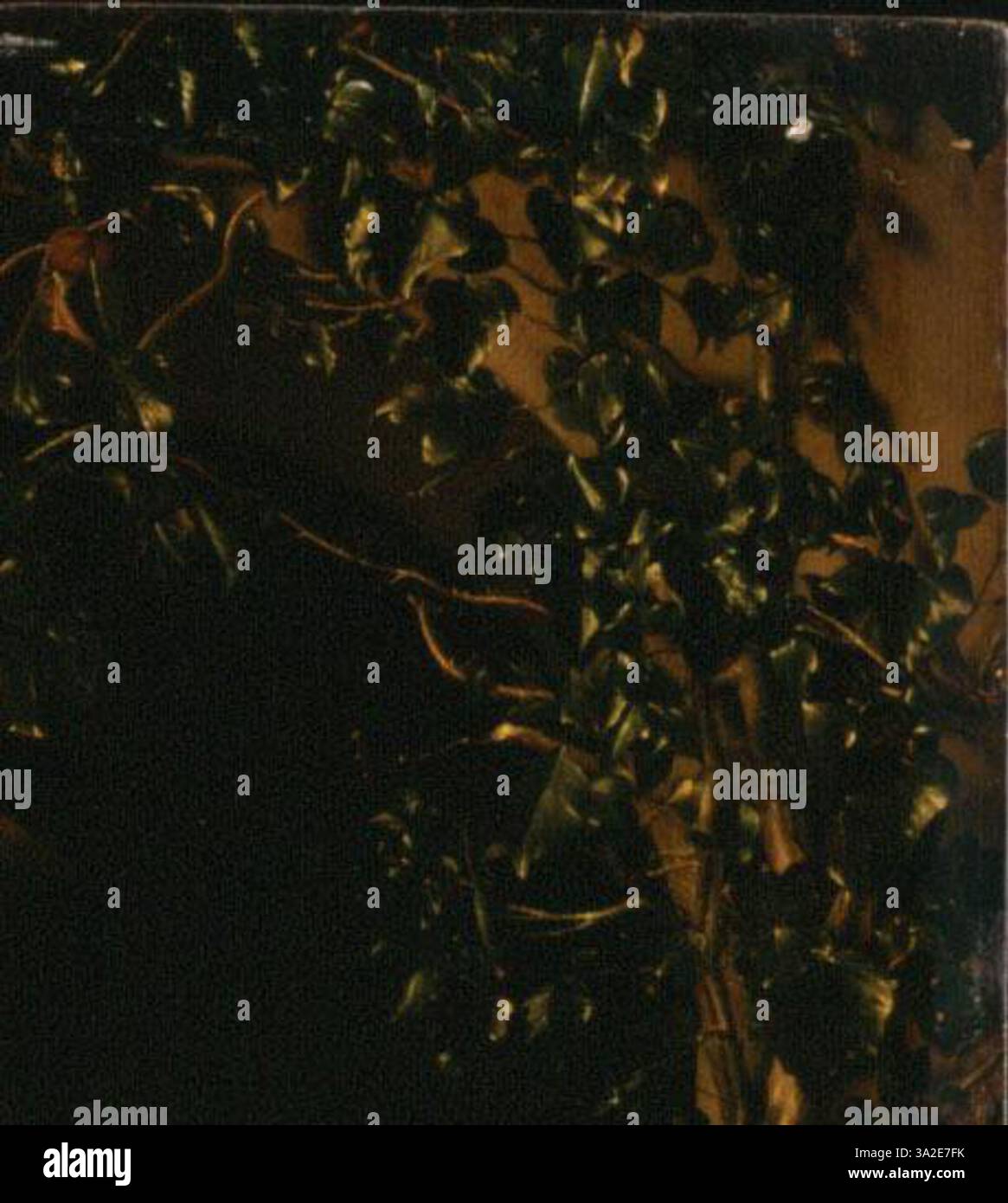 Questo pezzo del 1660 di Frans van Mieris il Vecchio mette in evidenza la sua abilità nella ritrattistica e nelle scene di genere, con un'enfasi sulla trama e sull'espressione della personalità. Foto Stock