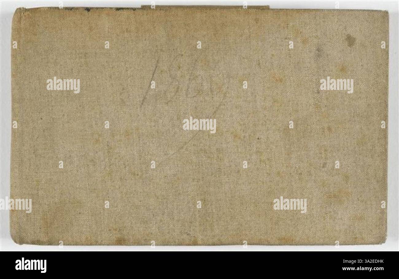 In questo pezzo, Bouguereau presenta uno studio dettagliato della figura umana, concentrandosi sulla precisione anatomica e sulla luce naturale. L'uso di ombre morbide migliora il realismo del ritratto. Foto Stock