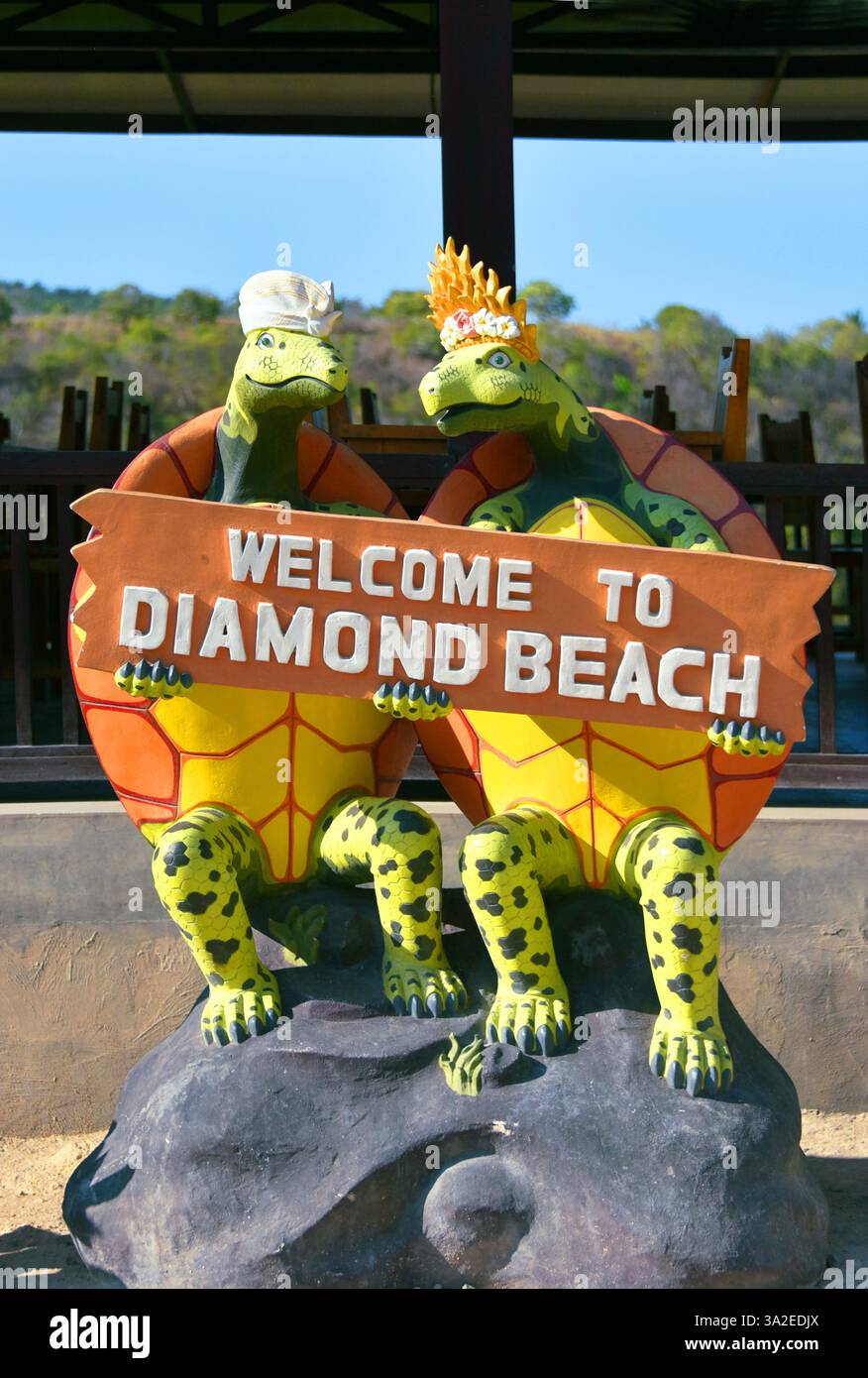 Due tartarughe accolgono i visitatori a Diamond Beach, Indonesia, Bali, Nusa Penida Foto Stock