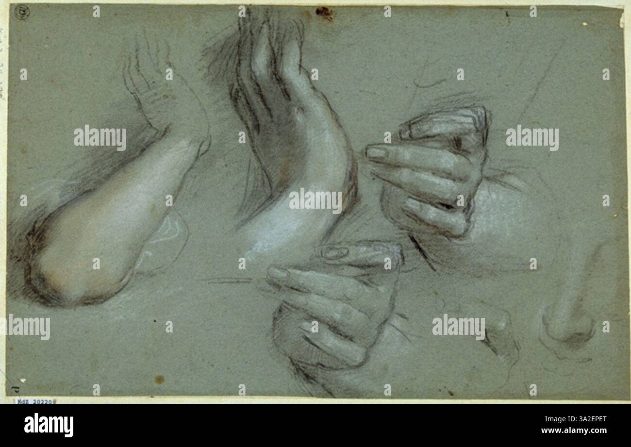 Studio di Barocci per la mano sinistra della Vergine Maria nel dipinto della Madonna con San Simone, situato nella Galleria Nazionale delle Marche di Urbino. Il disegno evidenzia l'attenzione di Barocci sul preciso posizionamento della mano della figura nella composizione religiosa. Foto Stock