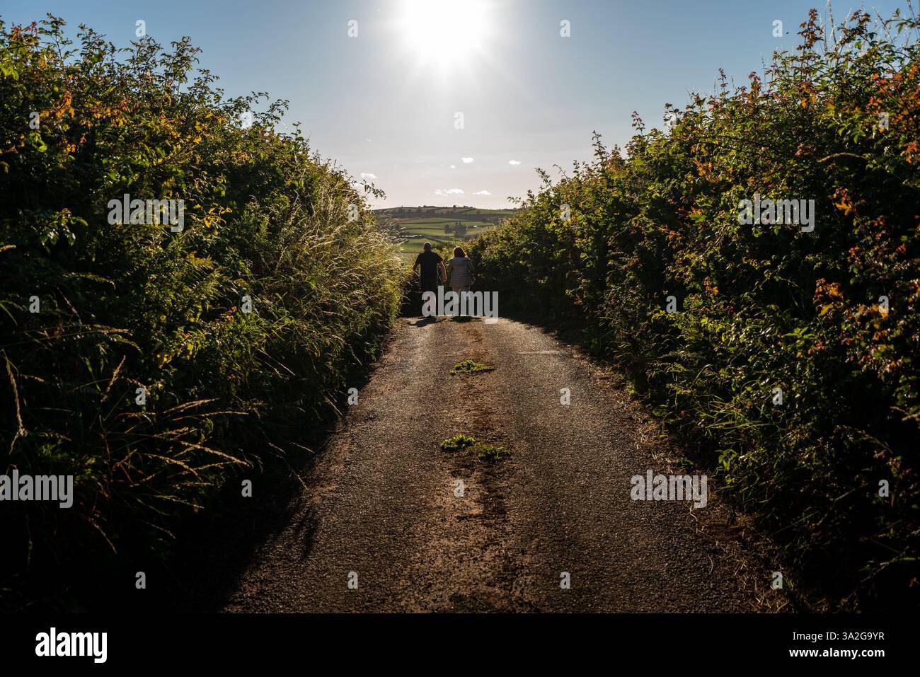 Due personaggi che camminano lungo una piccola stradina di campagna con alte siepi su entrambi i lati e sole sopra Foto Stock