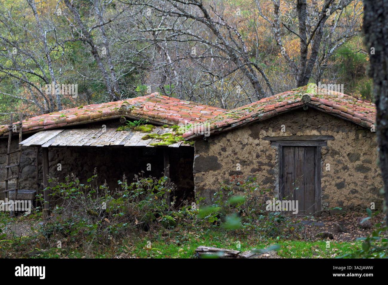 Casa spaventosa abbandonata nel bosco fatta di pietra orizzontale Foto Stock