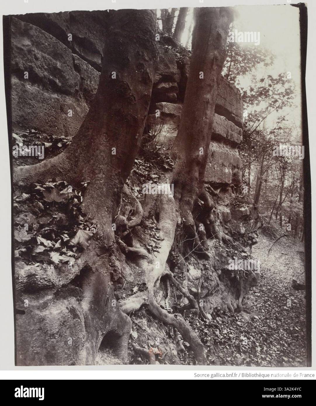 La fotografia di Eugène Atget cattura la bellezza calma e strutturata del parco di St. Cloud, con i suoi ampi prati e i vialetti alberati ordinatamente disposti. Foto Stock