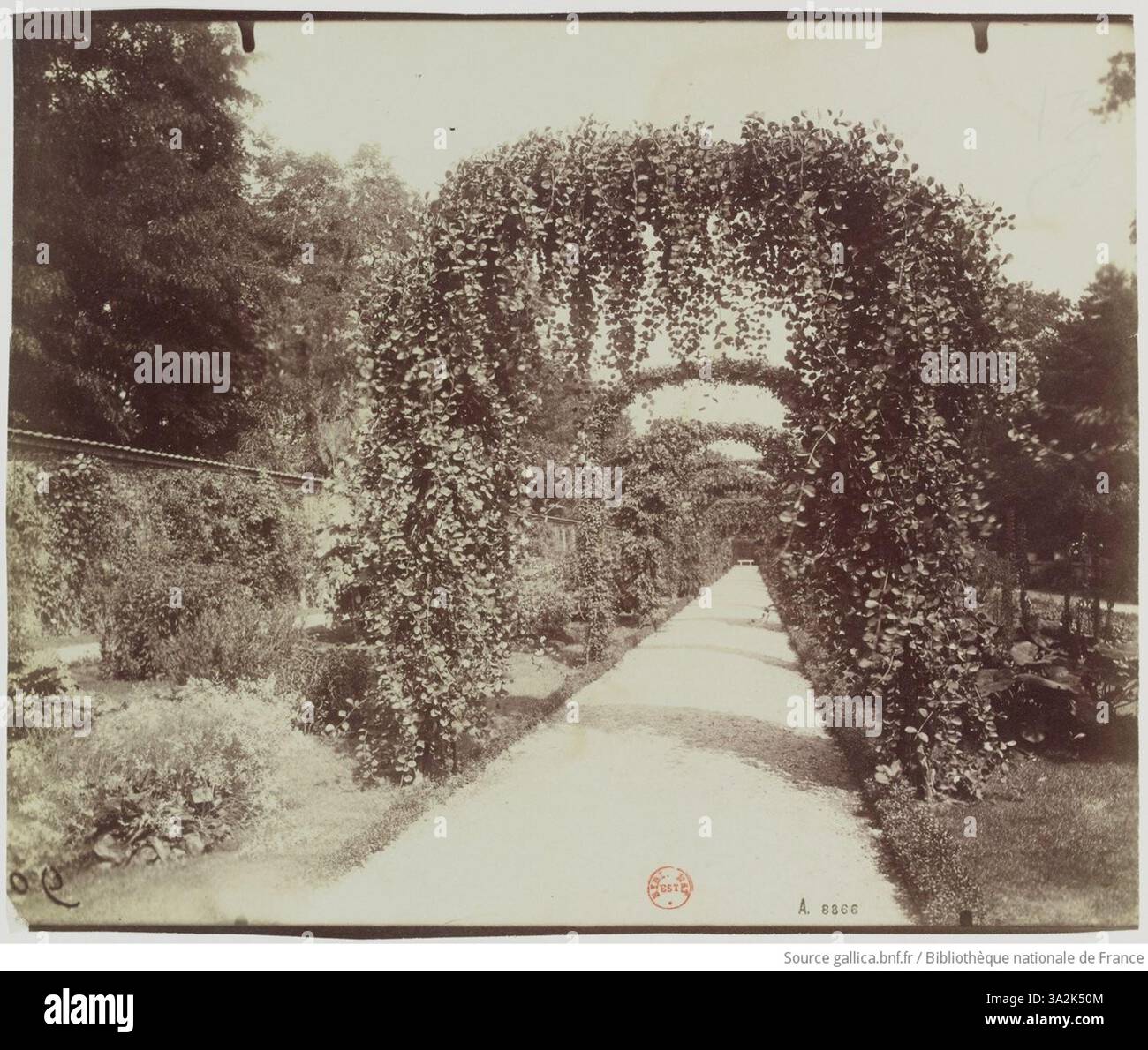 Questa fotografia di Eugène Atget cattura la bellezza serena e strutturata del Jardin de Bagatelle, concentrandosi sui suoi eleganti paesaggi e sulle sue caratteristiche ben tenute. Foto Stock