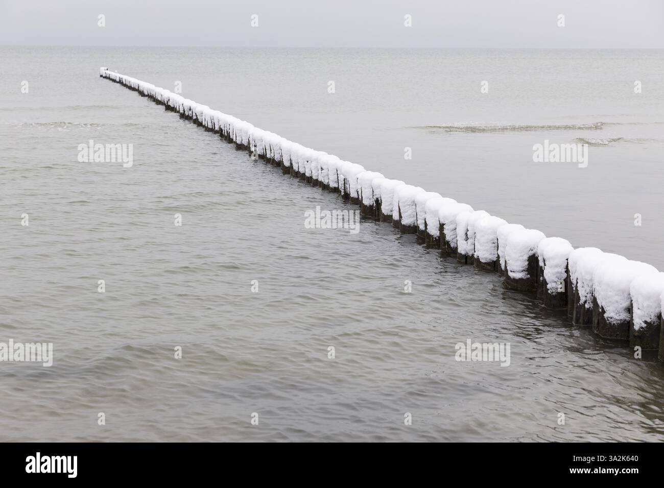 Calmo Mar Baltico e neve sui groynes di legno, Am Schwarzen Bush, Poel Island, Meclemburgo-Pomerania occidentale, Germania, Europa Foto Stock