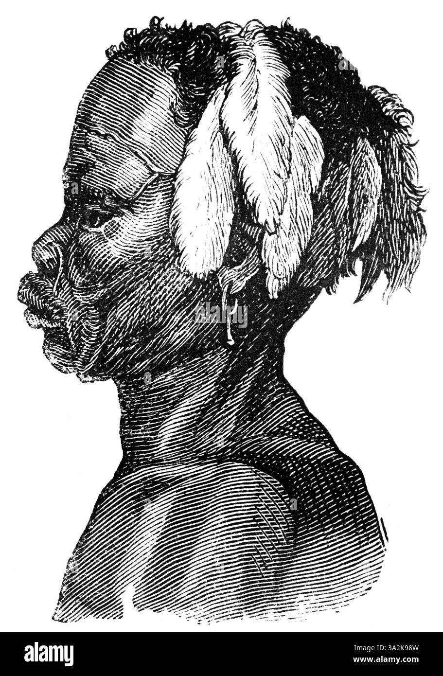Giovane del gruppo etnico indigeno San, primo Boscimano, piume come copricapo, cicatrici sul viso, ritratto, epoca coloniale, Sud Africa, storica Foto Stock