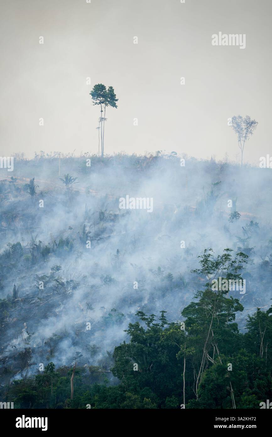Grande incendio forestale per aprire l'area per l'agricoltura e l'allevamento di bestiame nella foresta pluviale amazzonica. Concetto di deforestazione, ambiente, natura, globale. Foto Stock