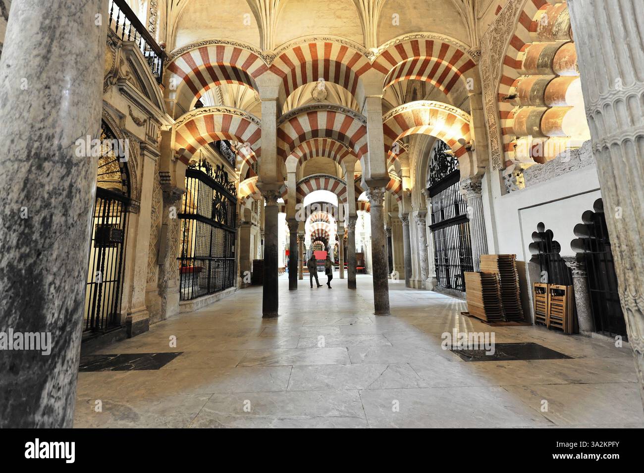 La Mezquita, Moschea, Cattedrale di Cordova, Cordova, Andalusia, Spagna, Europa, grande sala con colonne e archi decorativi a strisce rosse e bianche, Foto Stock