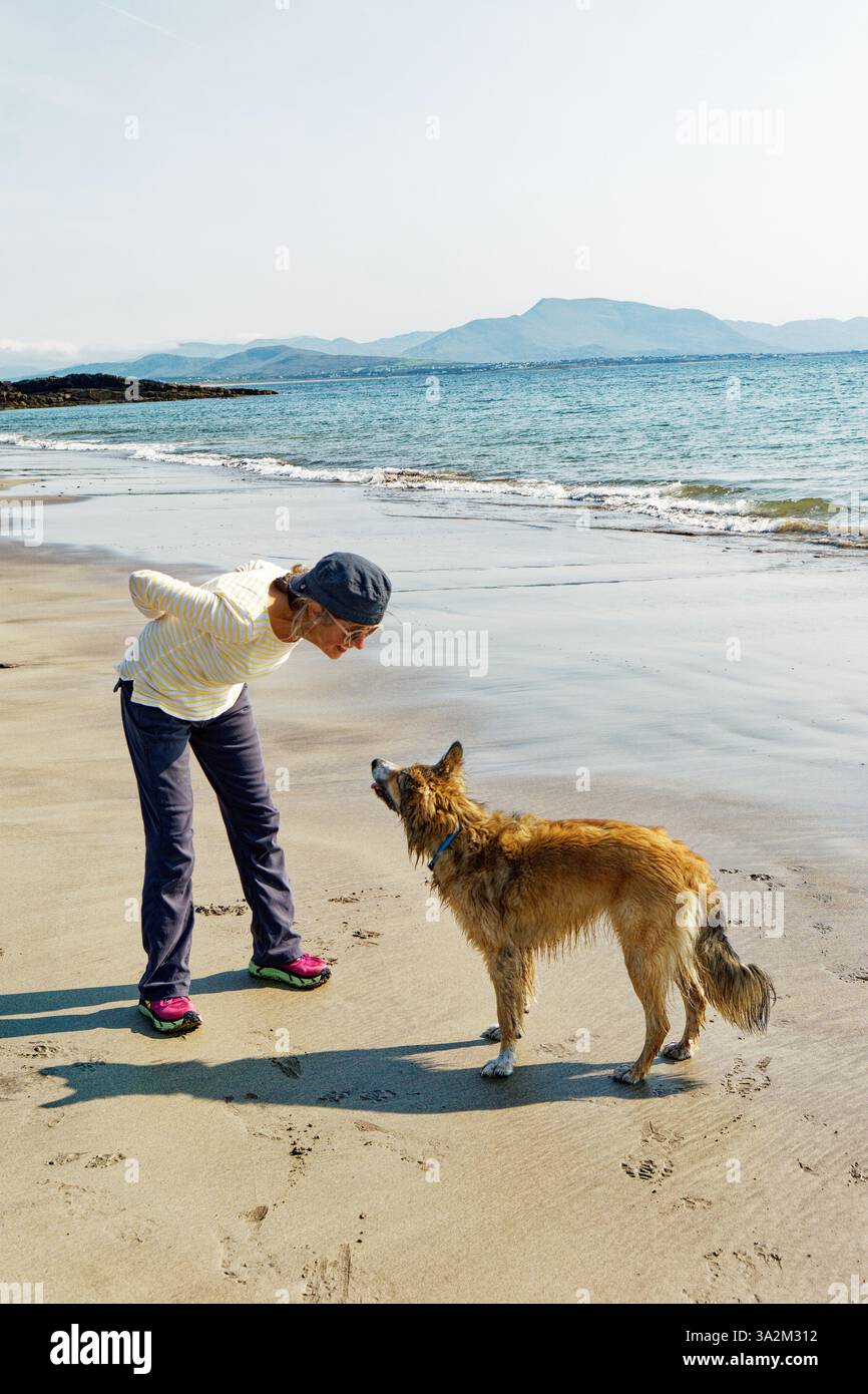 Donna che gioca con un cane da collie sulla spiaggia estiva di Derrynane, Contea di Kerry, Irlanda Foto Stock