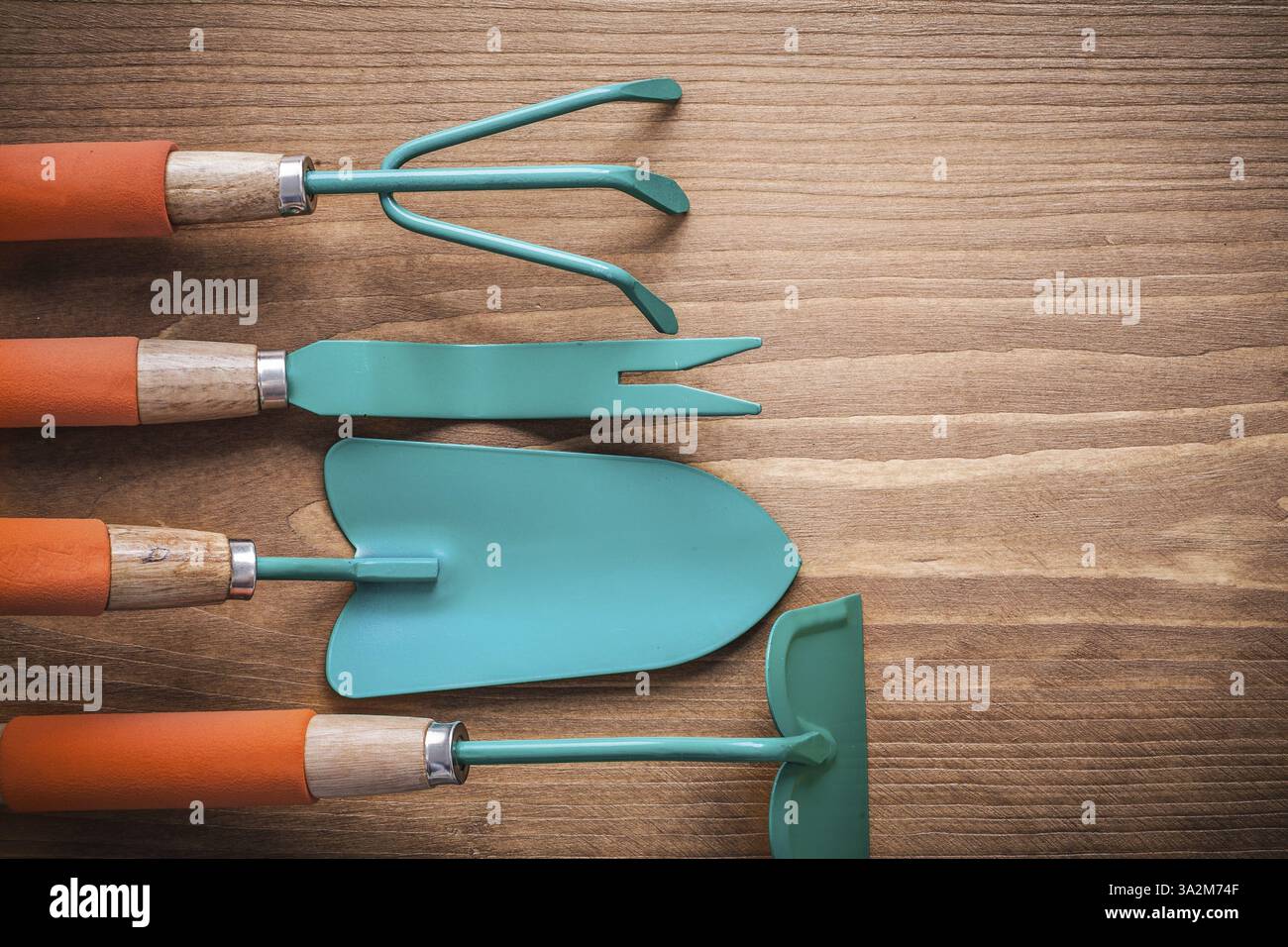 Concetto di coltivazione di radici di zappa da giardinaggio e rastrello in acciaio inox Foto Stock