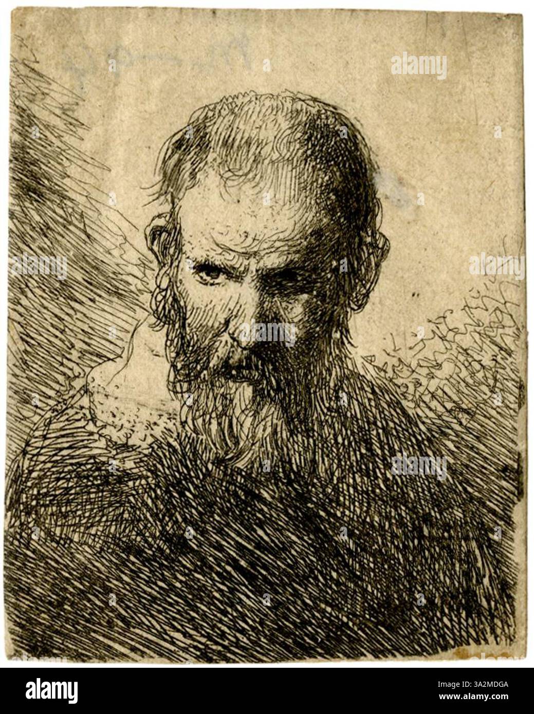 Uno studio ritratto di Jan Lievens del famoso artista olandese Rembrandt. Questo pezzo cattura le caratteristiche distintive e lo stile espressivo di Rembrandt, mostrando la sua maestria di luci e ombre. Le opere di Lievens spesso mostrano una raffinata attenzione ai dettagli, con particolare attenzione alla consistenza della pelle e alla profondità di espressione. Foto Stock