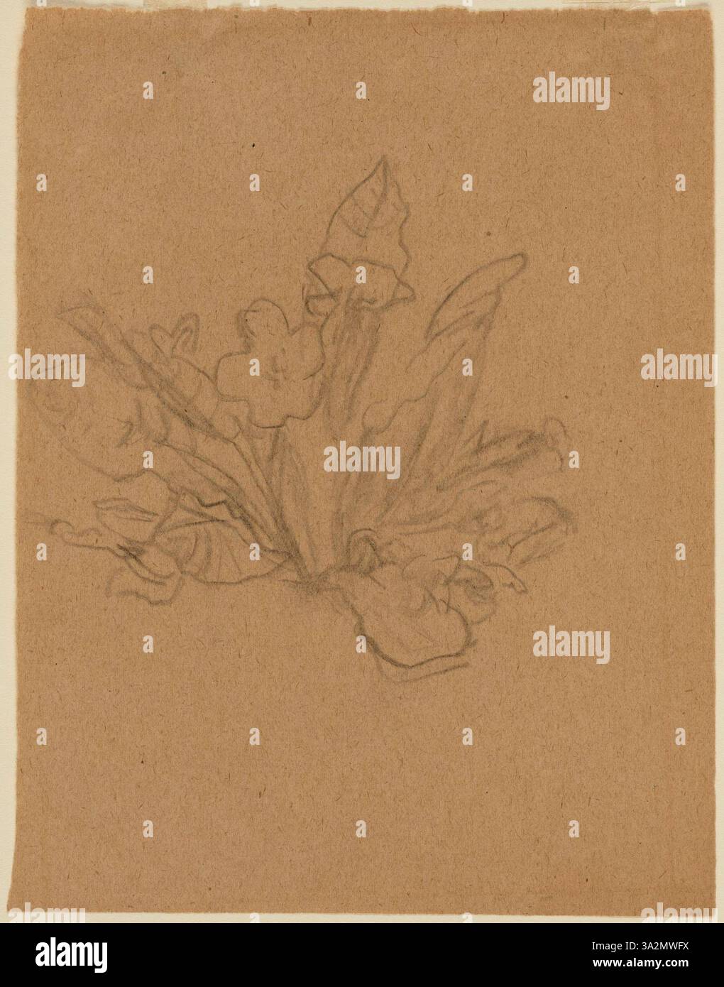 La pittura di fiori di Gwen John cattura la loro bellezza attraverso colori morbidi e tenui e una delicata attenzione alle loro forme e dettagli naturali. Foto Stock