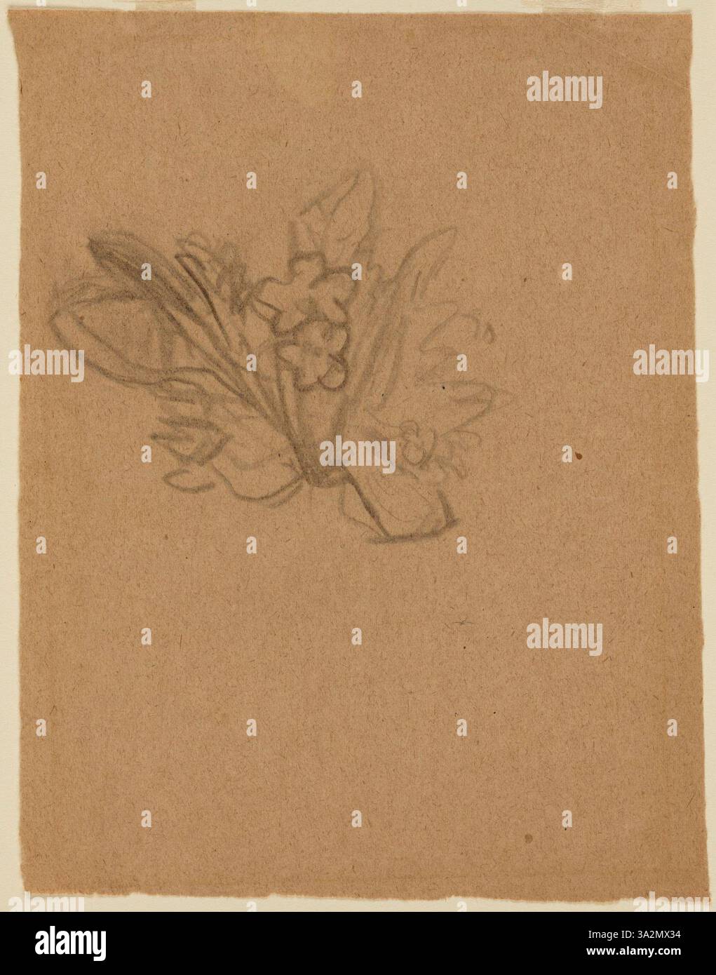 Questo lavoro di Gwen John si concentra sulla bellezza dei fiori, utilizzando una tavolozza morbida e silenziosa per creare un'atmosfera serena e mettere in risalto le loro forme delicate. Foto Stock