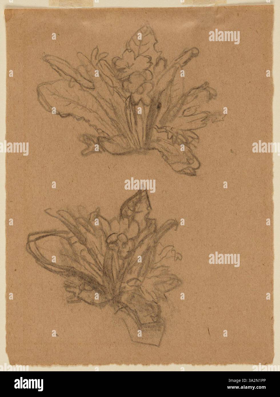 Questo lavoro di Gwen John raffigura fiori, usando colori delicati e forme morbide per evocare la bellezza e la fragilità della natura. Foto Stock