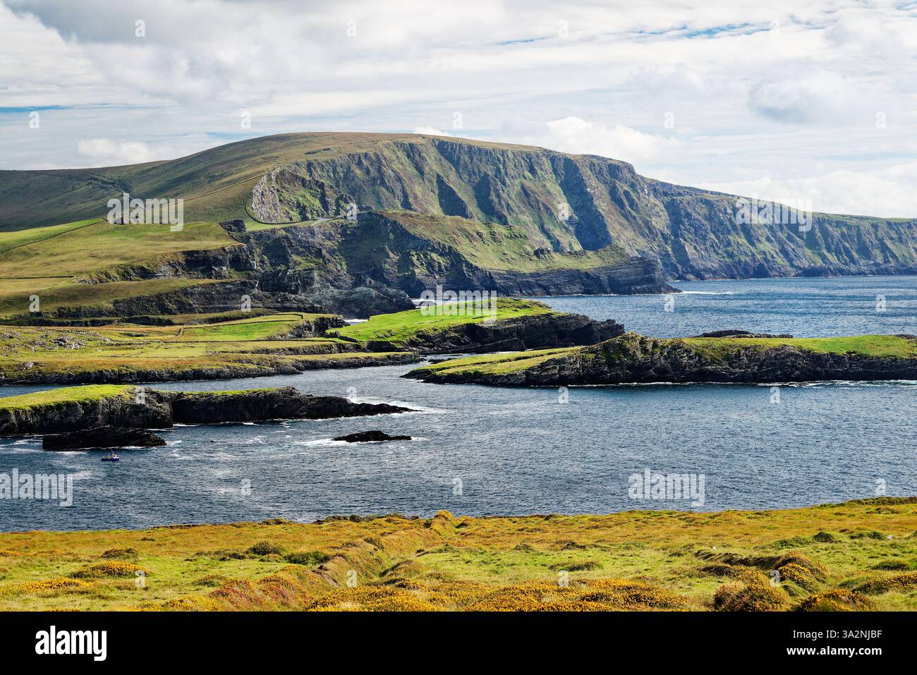 Le 1000ft Kerry Cliffs a ovest della penisola di Iveragh Ring of Kerry e sulla Wild Atlantic Way. Guardando a sud est da vicino a Bray Head, Valentia Foto Stock
