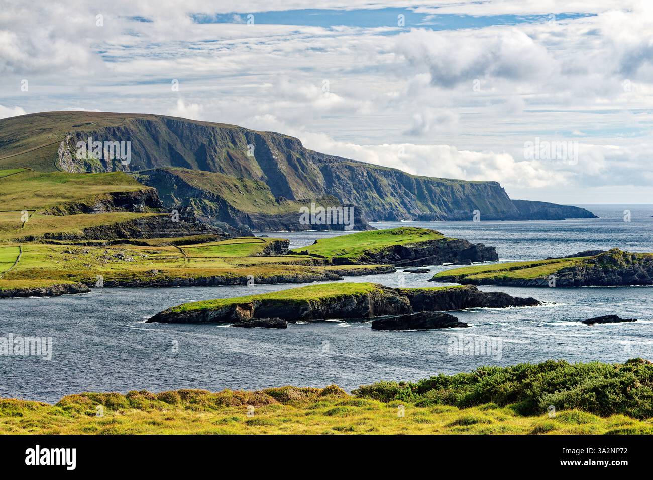 Le 1000ft Kerry Cliffs a ovest della penisola di Iveragh Ring of Kerry e sulla Wild Atlantic Way. Guardando a sud est da vicino a Bray Head, Valentia Foto Stock