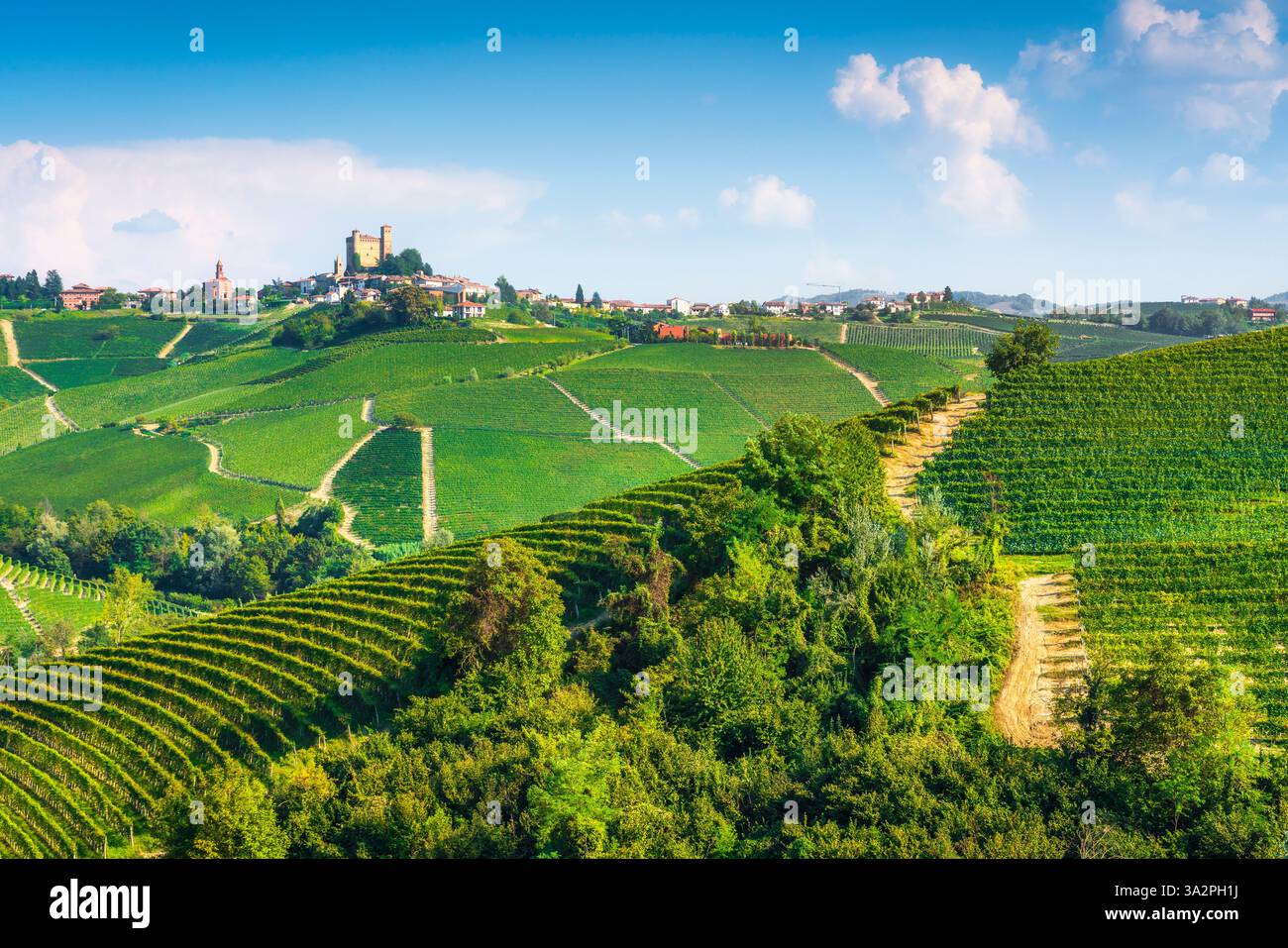 Vigneti delle Langhe e villaggio di Serralunga d'Alba con il castello sullo sfondo. Regione Piemonte, Italia, Europa. Foto Stock