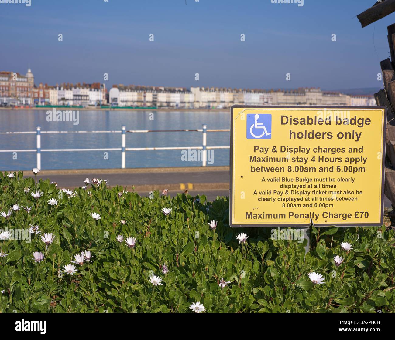 Parcheggio per disabili con badge blu presso il Pleasure Pier alla foce del fiume Wey, Weymouth, Dorset, Inghilterra. Foto Stock