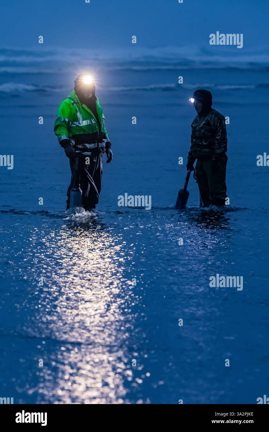Raccolta delle vongole del Pacific Razor sulla spiaggia dell'Oceano Pacifico di notte a Ocean City, Washington State, USA [Nessuna versione; solo licenze editoriali] Foto Stock