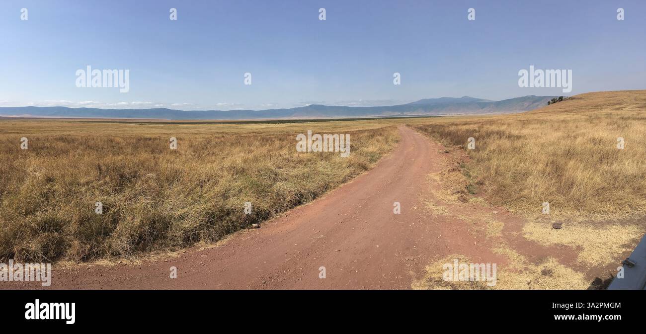 Vasto paesaggio della Ngorongoro Conservation area, Tanzania. Infinite praterie, strade sterrate e orlo del cratere in lontananza, iconico scenario di safari africano. Foto Stock