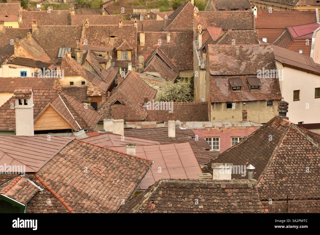 Tetti di Sighisoara in Transilvania, patrimonio dell'umanità dell'UNESCO Foto Stock