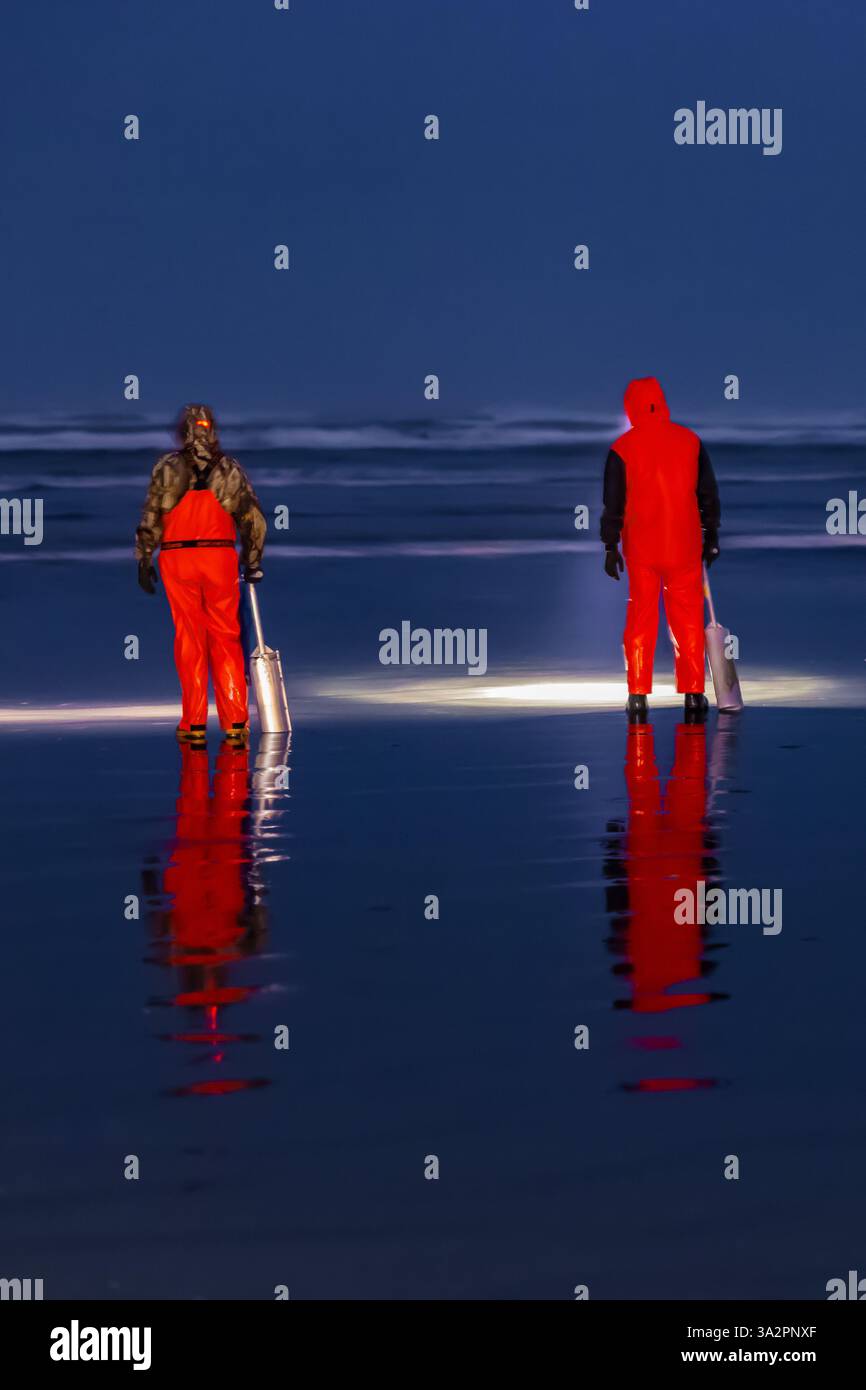 Raccolta delle vongole del Pacific Razor sulla spiaggia dell'Oceano Pacifico di notte a Ocean City, Washington State, USA [Nessuna versione; solo licenze editoriali] Foto Stock