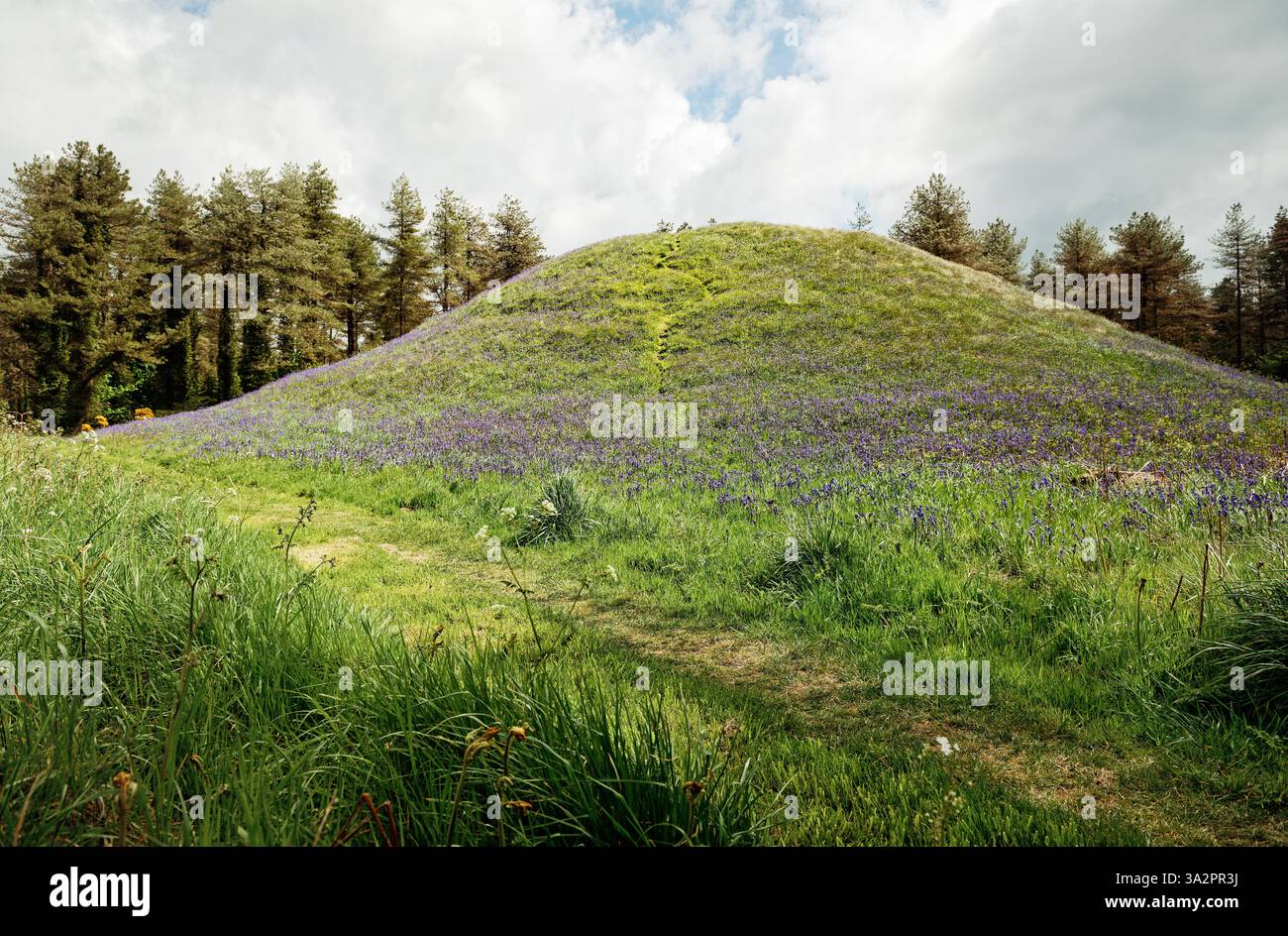 Droughdool Mote tumulo rotondo neolitico preistorico a Dunragit, S W Scozia. 10 m di altezza. In precedenza si pensava che fosse una motte medievale. Alias Droughduil Foto Stock
