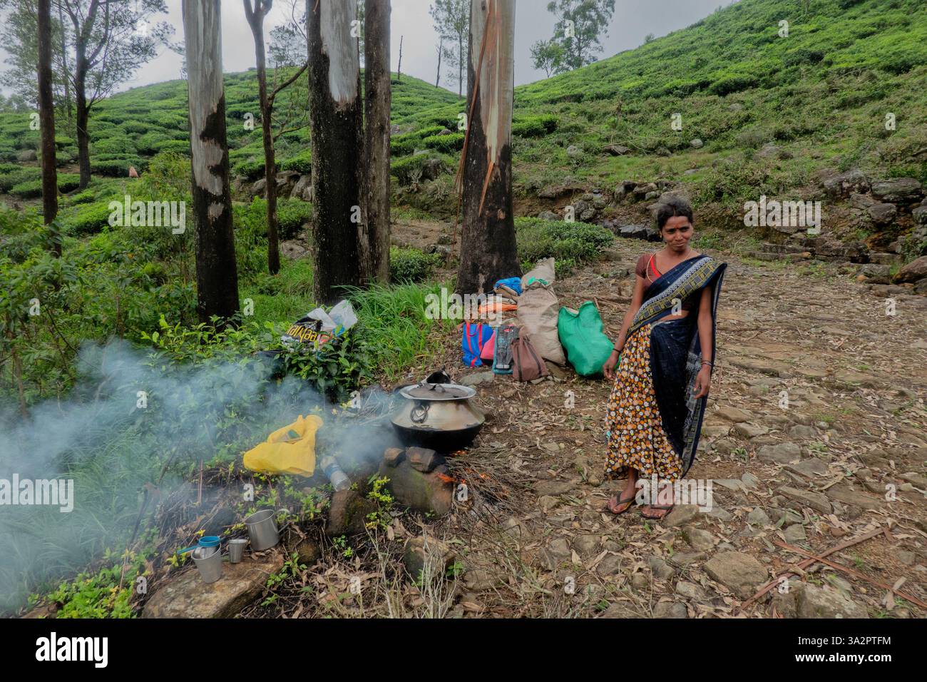 Selezionatore di tè Tamil per preparare tè, tenuta di Santa Caterina, Pekoe Trail, Ella, Sri Lanka Foto Stock