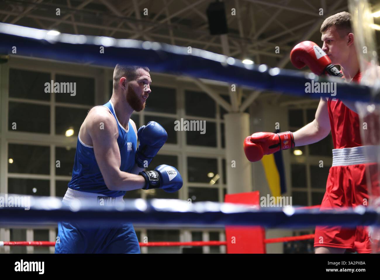 ODESSA, UCRAINA - 10 marzo 2025: Coppa di pugilato Ucraina tra uomini e donne. Cerimonia di apertura del concorso, concerto, premi, allenatori, giudici, par Foto Stock
