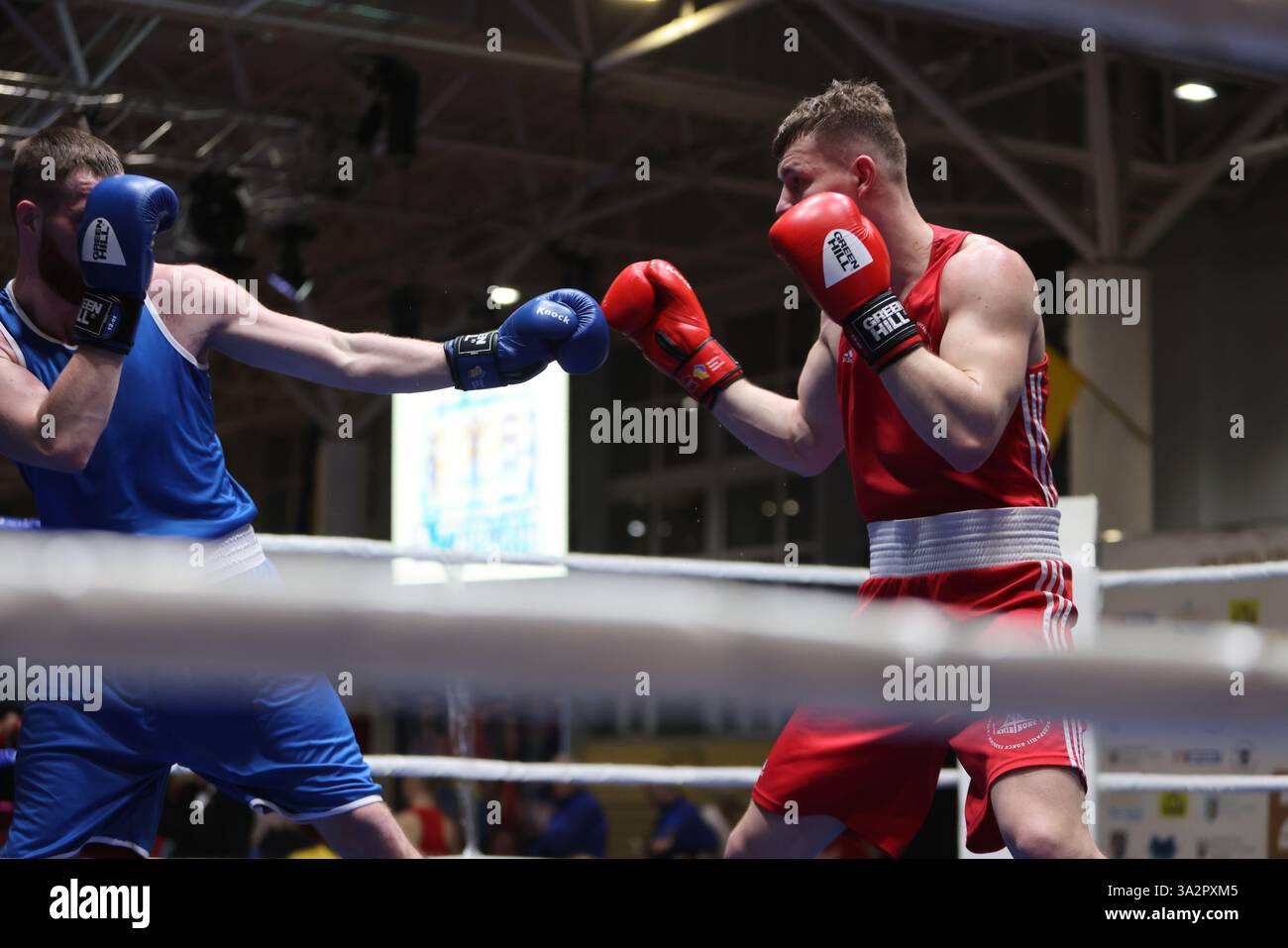 ODESSA, UCRAINA - 10 marzo 2025: Coppa di pugilato Ucraina tra uomini e donne. Cerimonia di apertura del concorso, concerto, premi, allenatori, giudici, par Foto Stock