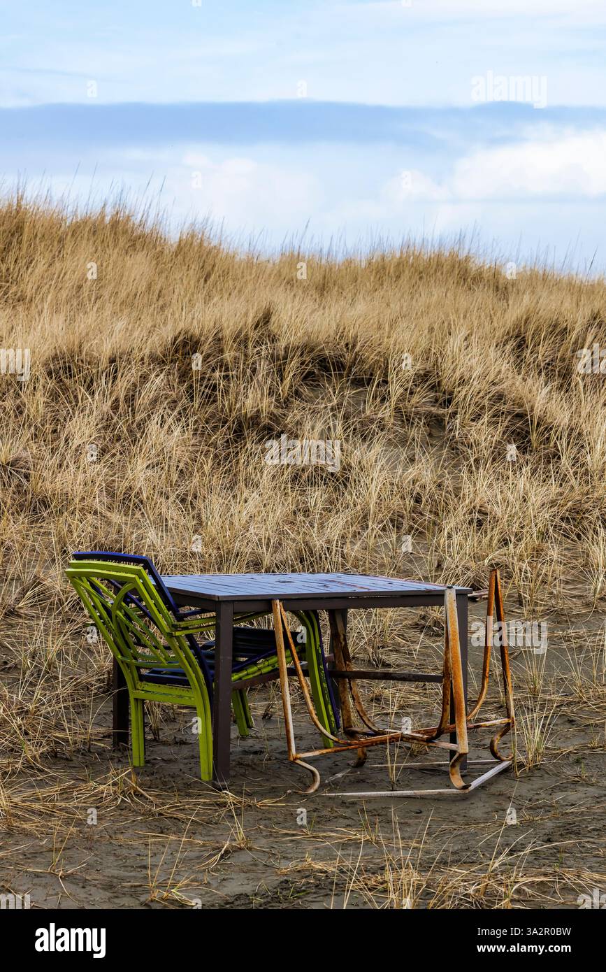 Tavolo e sedie da campeggio abbandonati nell'Ocean City State Park, Washington State, Stati Uniti Foto Stock