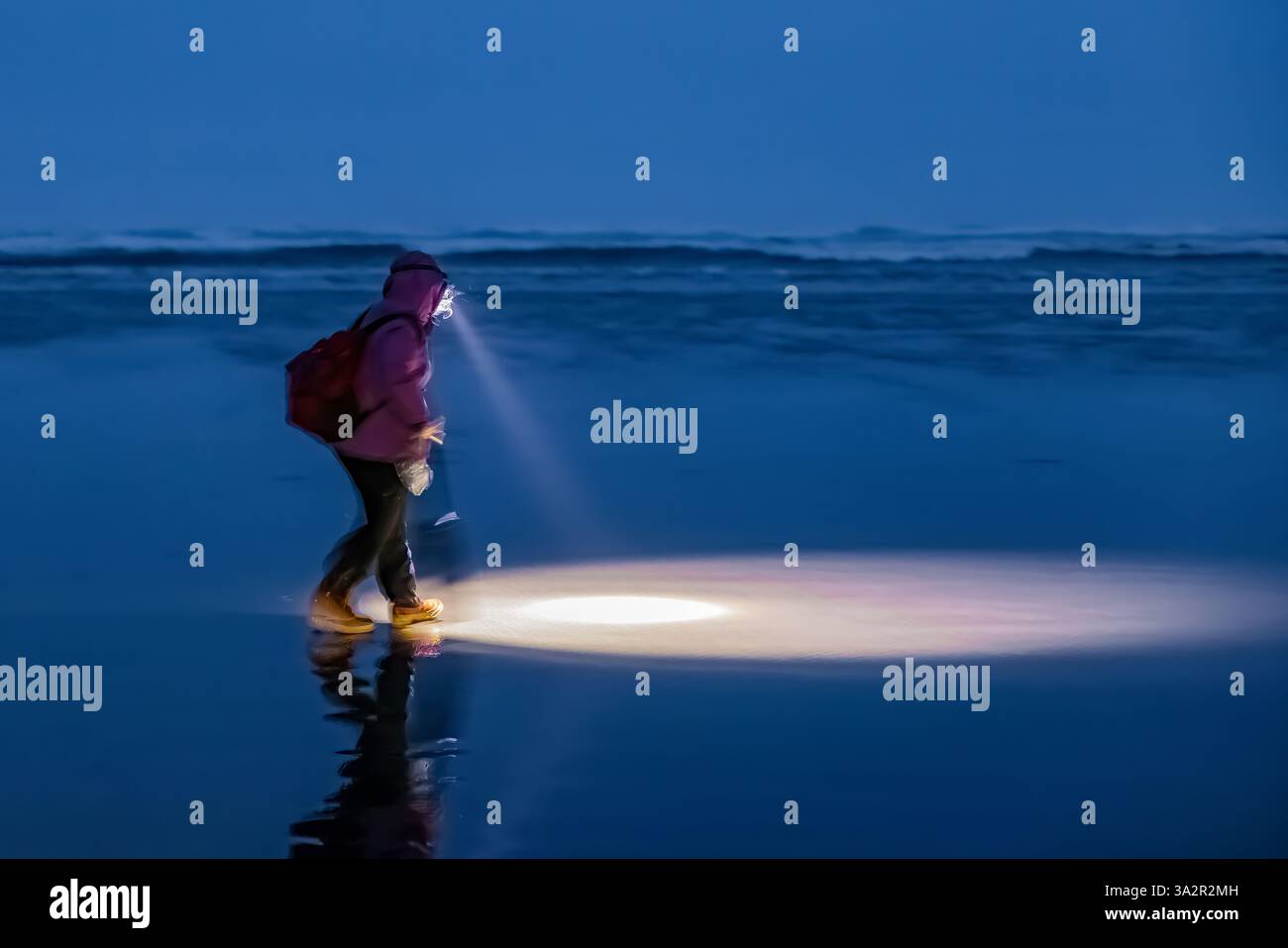 Raccolta di vongole del Pacific Razor sulla spiaggia dell'Oceano Pacifico di notte a Ocean City, Washington State, USA Foto Stock